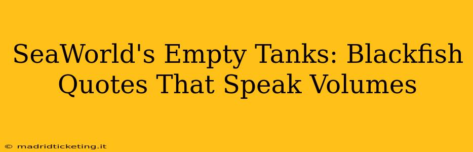 SeaWorld's Empty Tanks: Blackfish Quotes That Speak Volumes