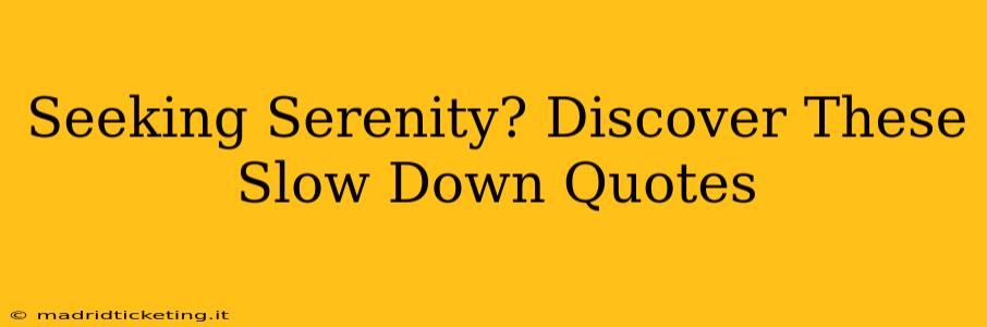 Seeking Serenity? Discover These Slow Down Quotes