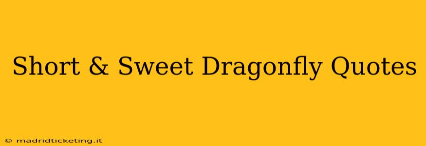 Short & Sweet Dragonfly Quotes