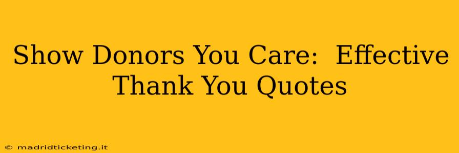 Show Donors You Care:  Effective Thank You Quotes