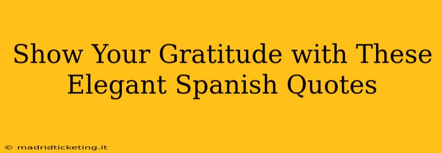 Show Your Gratitude with These Elegant Spanish Quotes