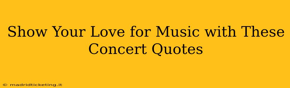 Show Your Love for Music with These Concert Quotes