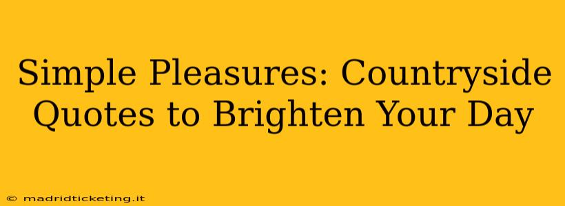 Simple Pleasures: Countryside Quotes to Brighten Your Day