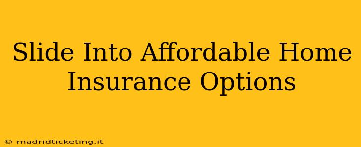 Slide Into Affordable Home Insurance Options
