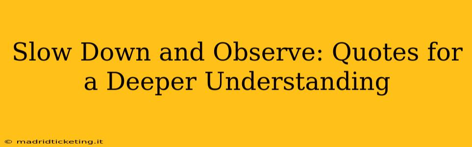 Slow Down and Observe: Quotes for a Deeper Understanding