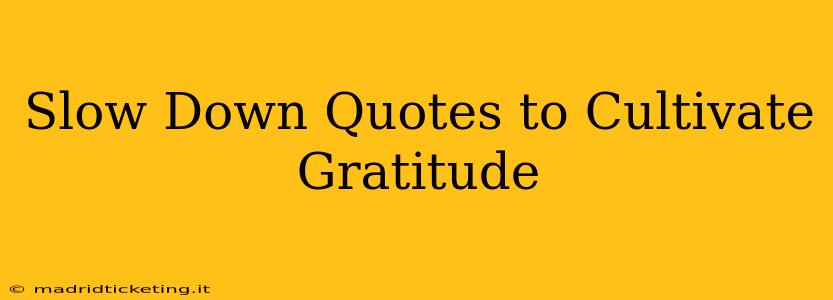 Slow Down Quotes to Cultivate Gratitude