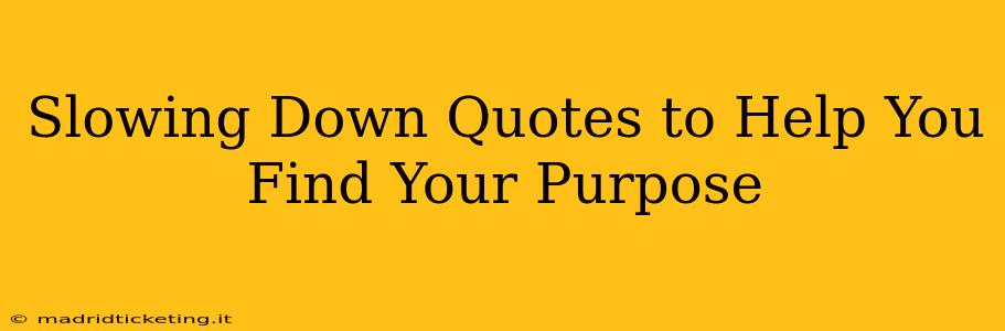 Slowing Down Quotes to Help You Find Your Purpose