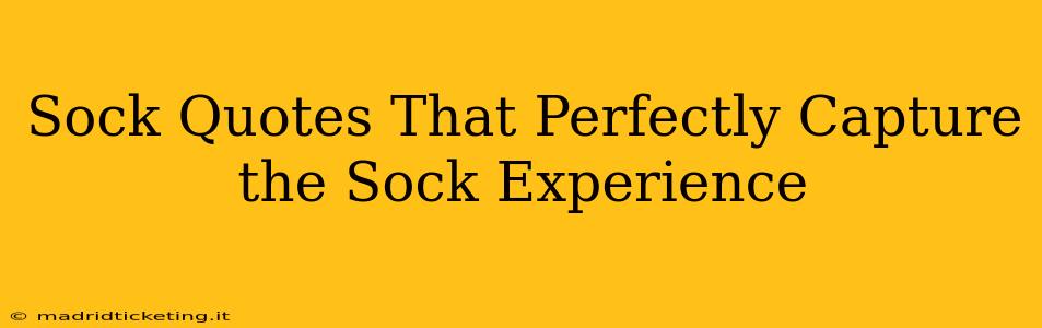Sock Quotes That Perfectly Capture the Sock Experience