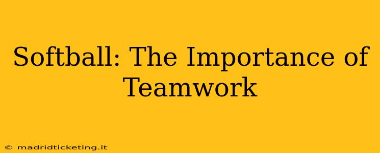 Softball: The Importance of Teamwork
