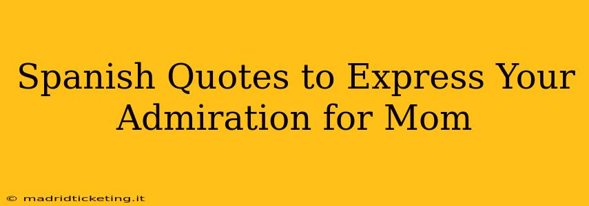 Spanish Quotes to Express Your Admiration for Mom