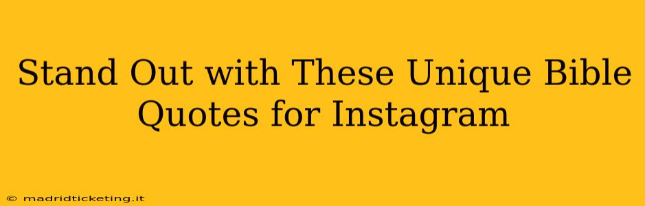 Stand Out with These Unique Bible Quotes for Instagram