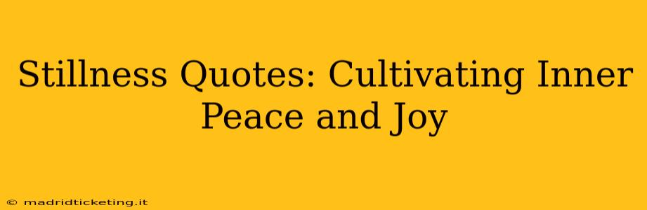 Stillness Quotes: Cultivating Inner Peace and Joy