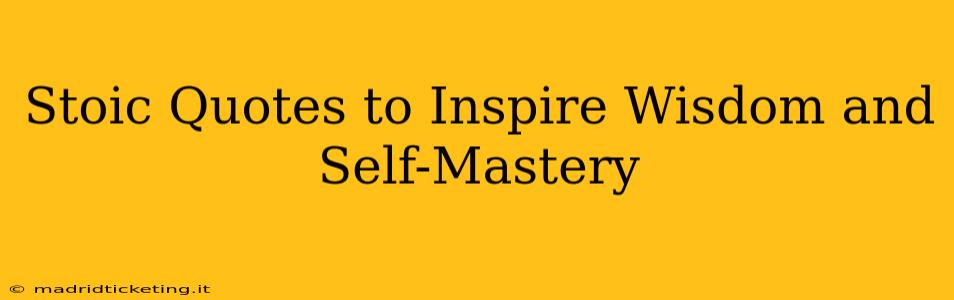 Stoic Quotes to Inspire Wisdom and Self-Mastery