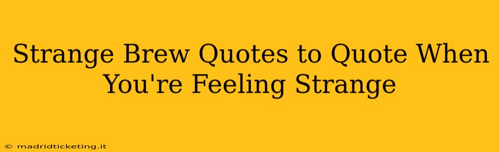 Strange Brew Quotes to Quote When You're Feeling Strange