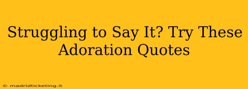 Struggling to Say It? Try These Adoration Quotes