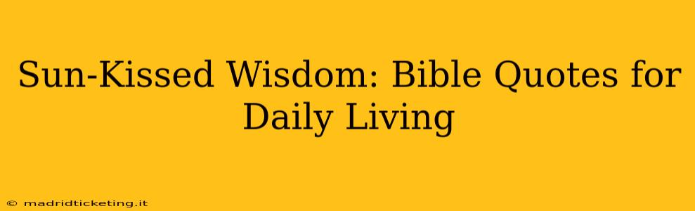 Sun-Kissed Wisdom: Bible Quotes for Daily Living