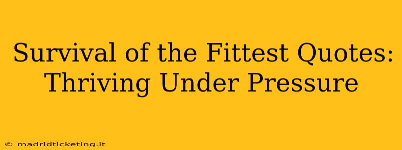 Survival of the Fittest Quotes:  Thriving Under Pressure