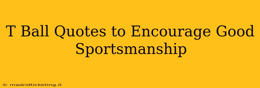 T Ball Quotes to Encourage Good Sportsmanship