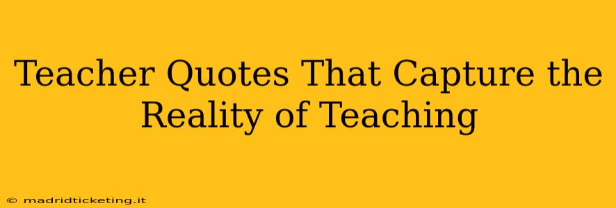 Teacher Quotes That Capture the Reality of Teaching
