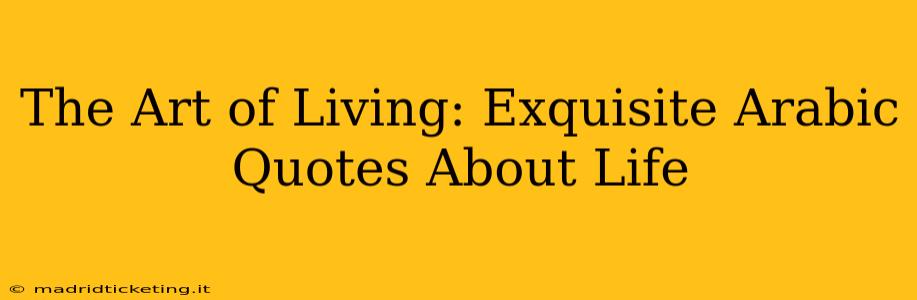The Art of Living: Exquisite Arabic Quotes About Life