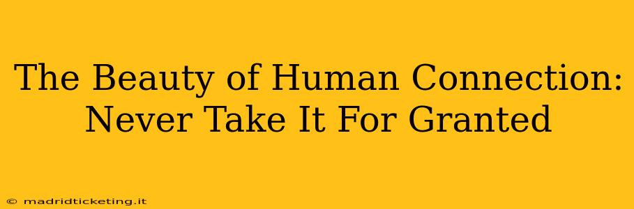 The Beauty of Human Connection: Never Take It For Granted