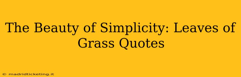 The Beauty of Simplicity: Leaves of Grass Quotes