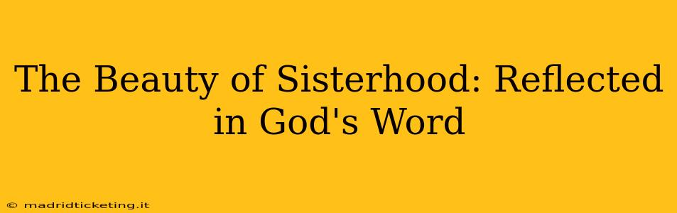 The Beauty of Sisterhood: Reflected in God's Word
