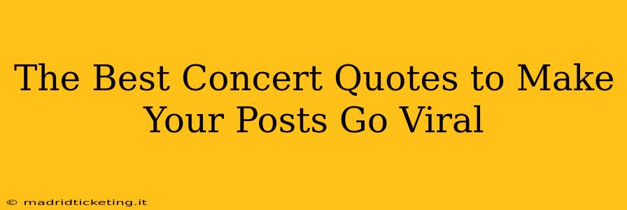 The Best Concert Quotes to Make Your Posts Go Viral