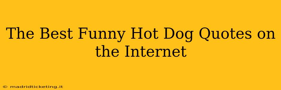 The Best Funny Hot Dog Quotes on the Internet