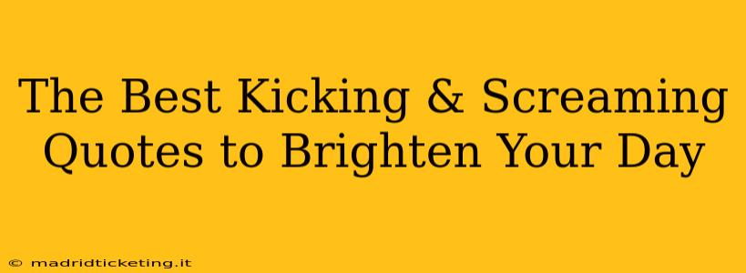 The Best Kicking & Screaming Quotes to Brighten Your Day
