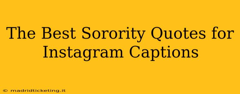 The Best Sorority Quotes for Instagram Captions