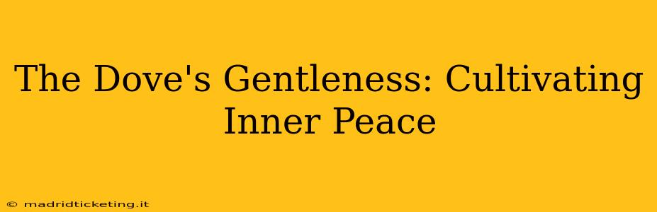 The Dove's Gentleness: Cultivating Inner Peace
