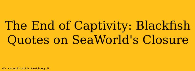 The End of Captivity: Blackfish Quotes on SeaWorld's Closure