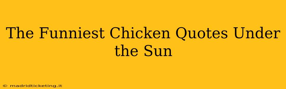 The Funniest Chicken Quotes Under the Sun