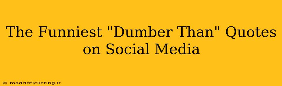 The Funniest "Dumber Than" Quotes on Social Media
