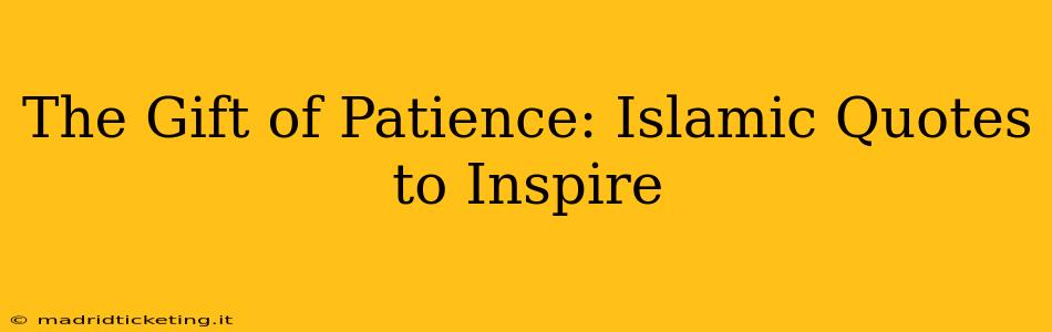 The Gift of Patience: Islamic Quotes to Inspire