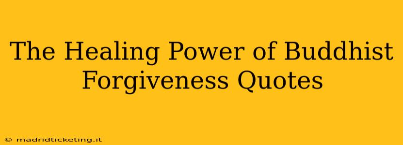 The Healing Power of Buddhist Forgiveness Quotes