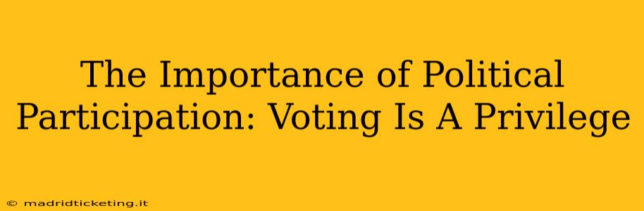 The Importance of Political Participation: Voting Is A Privilege