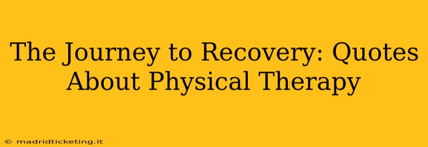 The Journey to Recovery: Quotes About Physical Therapy