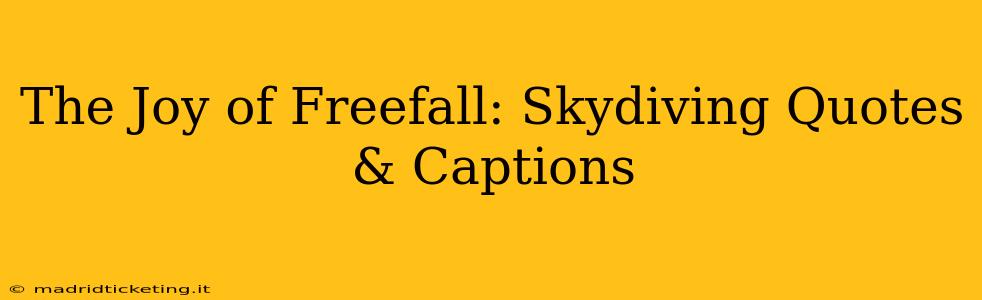 The Joy of Freefall: Skydiving Quotes & Captions