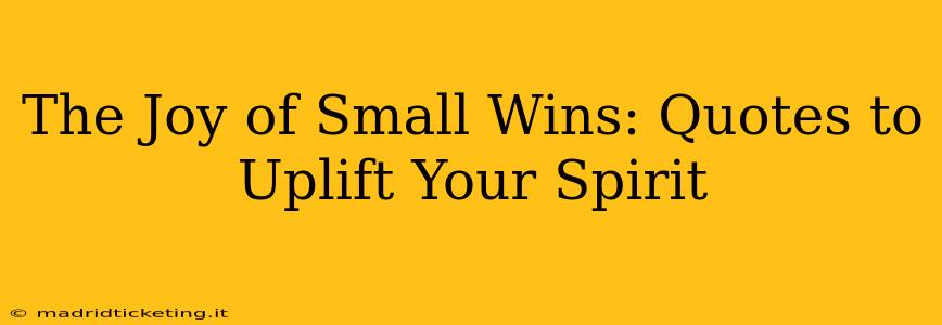 The Joy of Small Wins: Quotes to Uplift Your Spirit