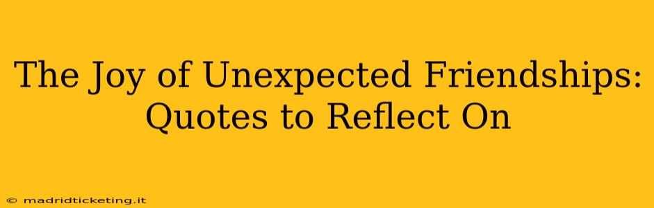 The Joy of Unexpected Friendships: Quotes to Reflect On