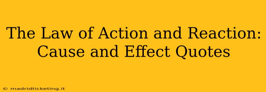 The Law of Action and Reaction: Cause and Effect Quotes