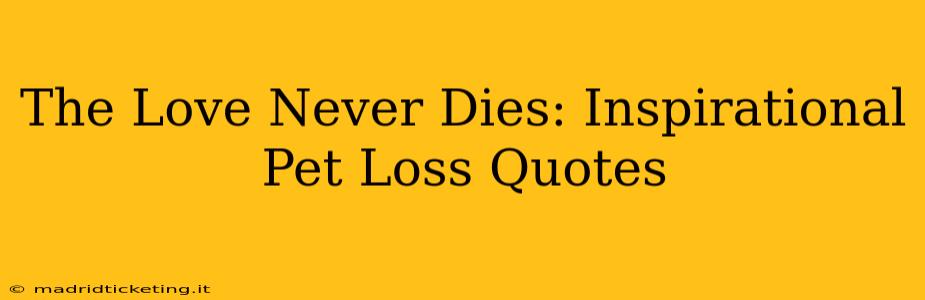 The Love Never Dies: Inspirational Pet Loss Quotes
