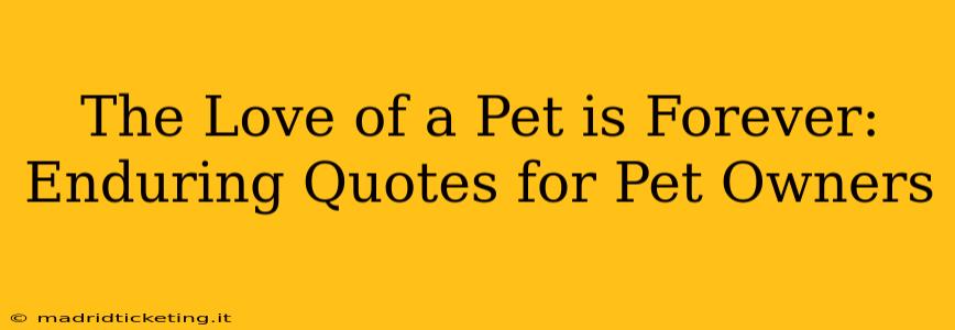 The Love of a Pet is Forever: Enduring Quotes for Pet Owners