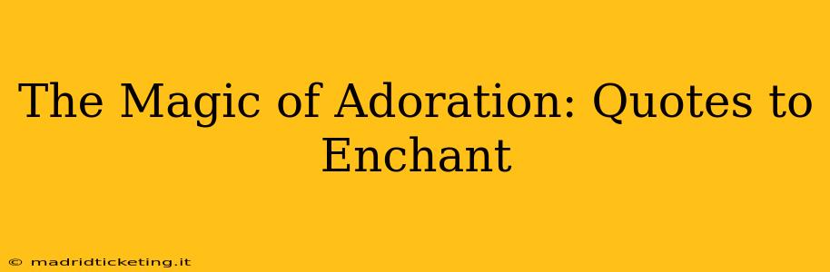 The Magic of Adoration: Quotes to Enchant