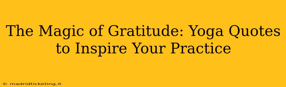 The Magic of Gratitude: Yoga Quotes to Inspire Your Practice