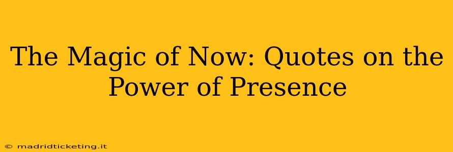 The Magic of Now: Quotes on the Power of Presence