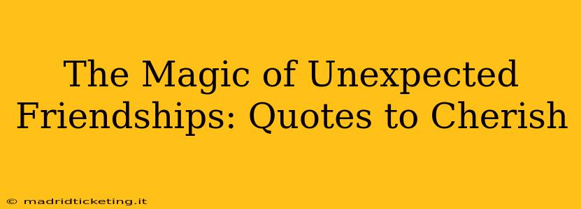 The Magic of Unexpected Friendships: Quotes to Cherish