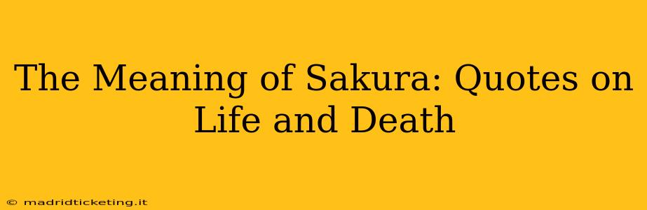 The Meaning of Sakura: Quotes on Life and Death